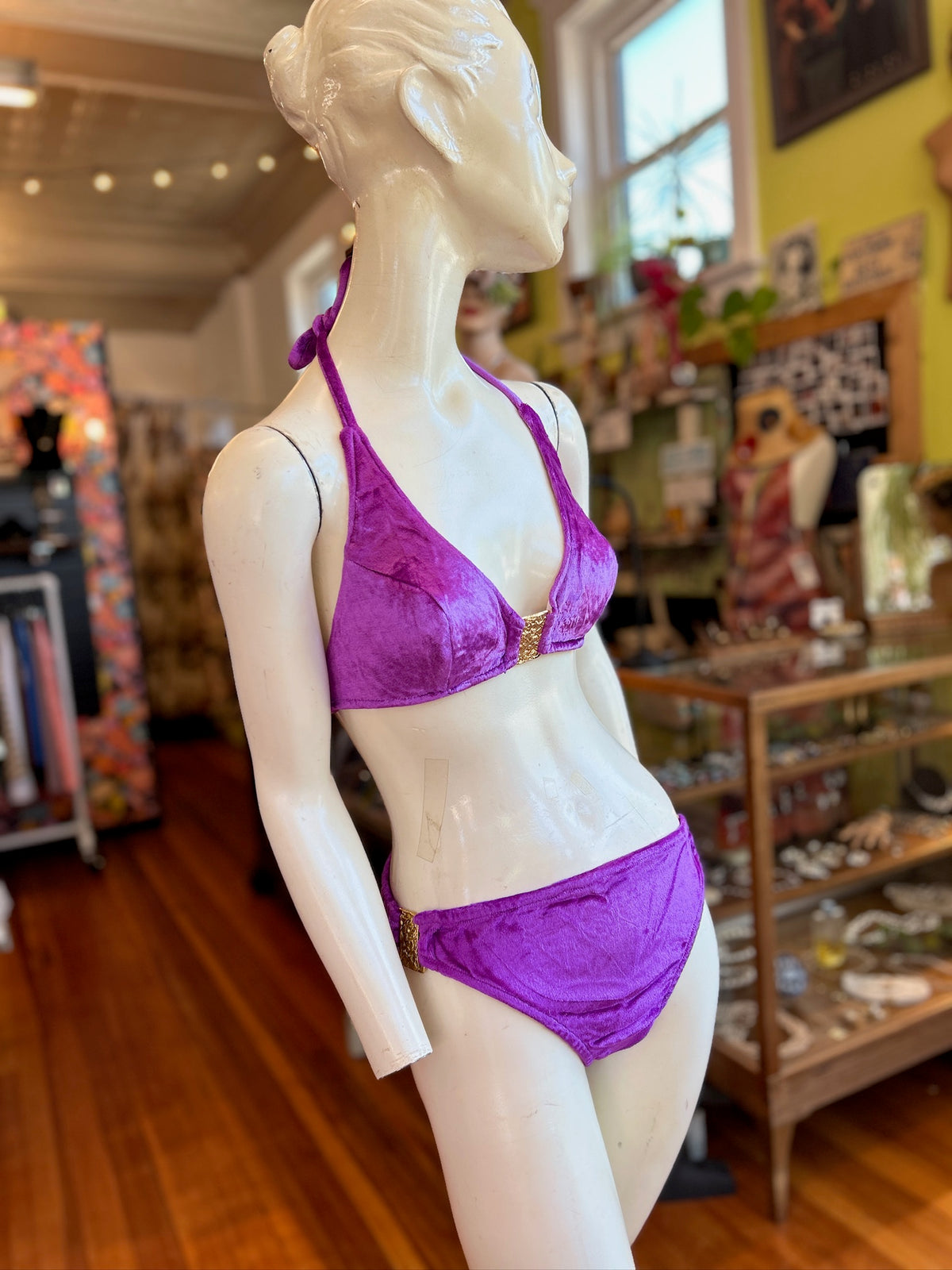 1970’s Plush Purple Velvet & Gold Bikini