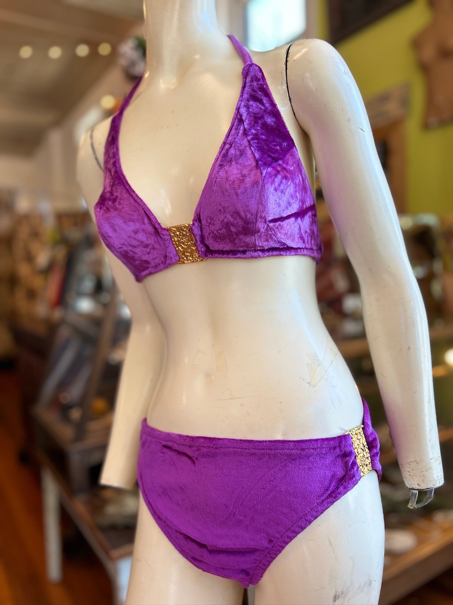 1970’s Plush Purple Velvet & Gold Bikini