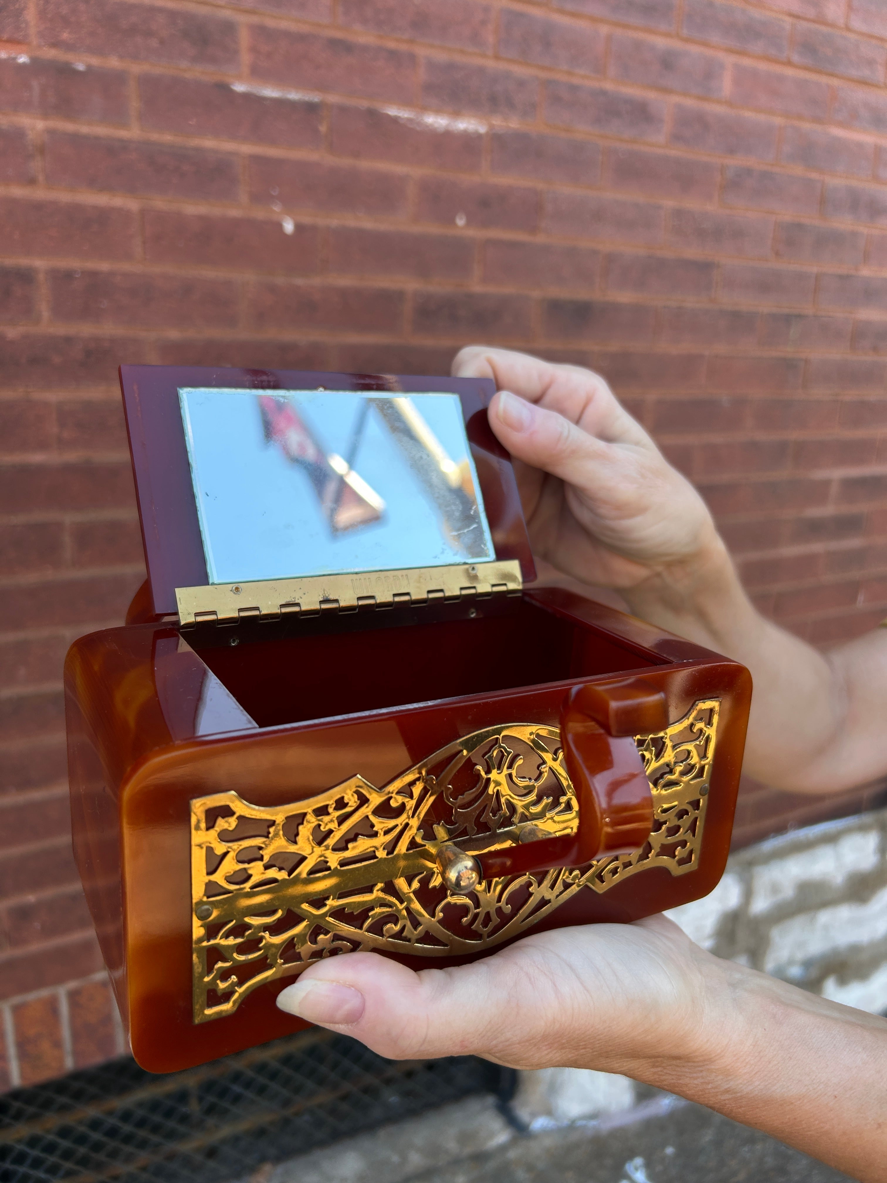 Wilardy 1950’s Lucite Bag